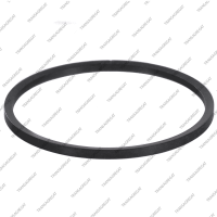 Уплотнительное кольцо задней крышки (OD 48mm)*