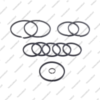 Комплект уплотнительных колец (11шт.)